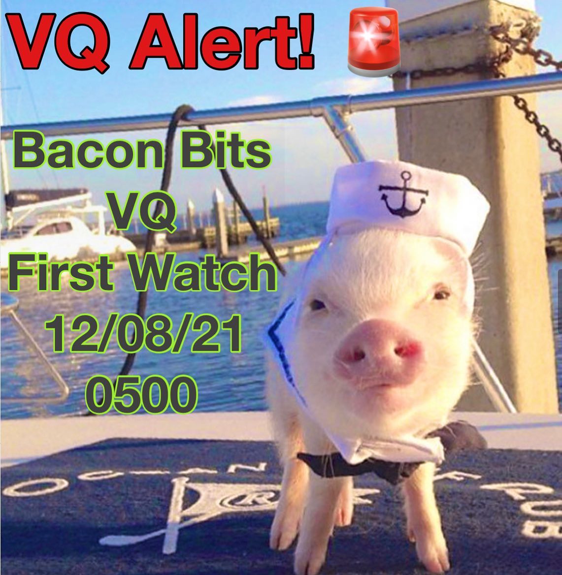 VQ Alert!!! 🚨 Bacon Bits is on the Q sheet for tomorrow at First Watch!  5:00 am at River Road Baptist Church. Come show your support!!